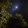 rknaduvath profil fotoğrafı