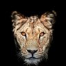 sky nikhate's profile picture