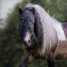 عاشق الترحال's profile picture