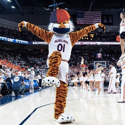 Aubie’s son🦅's profile picture