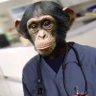 Semismart Monkey 🙈 profil fotoğrafı
