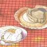 ホタテと大アサリ 的头像