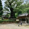 Фото профиля お母さんやってます( .ˬ.)"