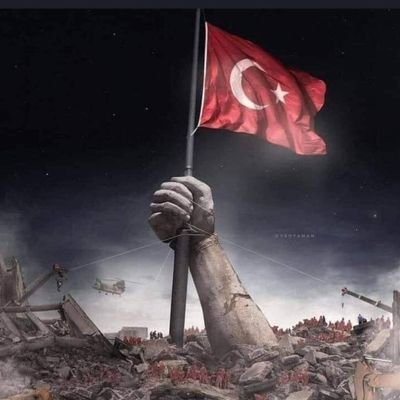 Yasemin's profile picture