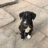 57tokin profil fotoğrafı