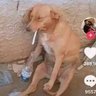 fernnqdo's profile picture
