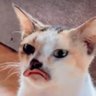 Profilbild von Chiryt