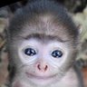 willy ت's profile picture