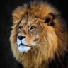 Profilbild von Juaninamillion