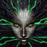 Adriano Algodon's profile picture