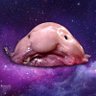 Snicklink 的头像