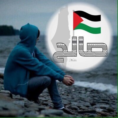 salehtx1's profile picture