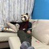 Profilbild von Dennis lu