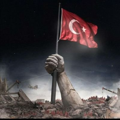 nrcnkzlbbtl's profile picture
