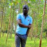 Sylus Ouma's profile picture