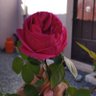 Tera khayal🖤✨🥰 profil fotoğrafı