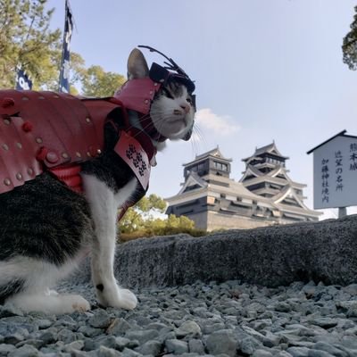 ZIPPO0833's profile picture