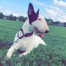 Profilbild von Jake