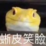 メイ's profile picture