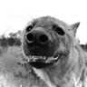ferrablan's profile picture