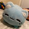 CalCutie 的头像