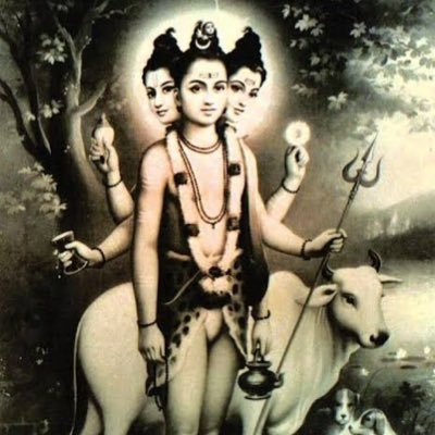 Parabrahman47's profile picture