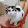 Muazzez profil fotoğrafı
