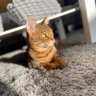 Profilbild von Diegosworld