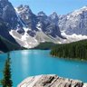 rockies 的头像
