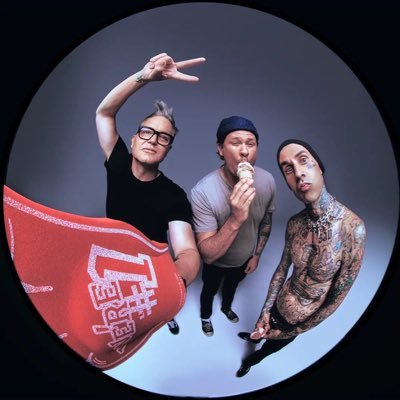 blink-182 TV's profile picture
