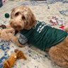 jimjets 的头像