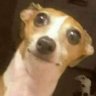 contato X's profile picture