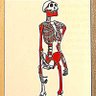 Earliest Hominid's profile picture