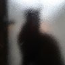 Nephret's profile picture