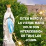 Marie Mattar's profile picture