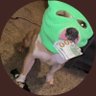 Clipze's profile picture