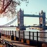 london's profile picture