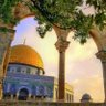 الزعيم ابومحمود 的头像