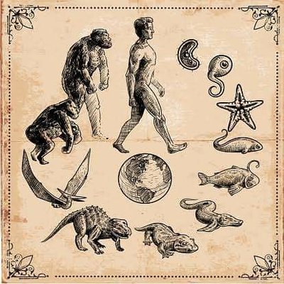 EvoIutlon's profile picture