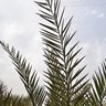 ابو عسيب 的头像