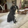 Christine Elizabeth's profile picture