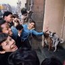 Étienne L.a profil fotoğrafı