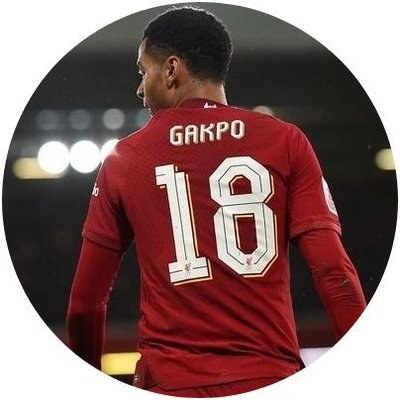 TheGakpoRole's profile picture