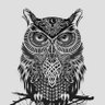 Owls of Minerva's profile picture
