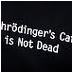 Schrรถdinger's Cat's profile picture
