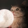 Profilbild von sam