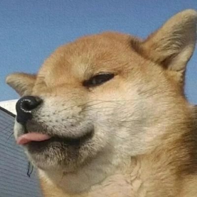 shy1069dsg's profile picture
