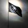 Kuşcubaşı__Alp's profile picture
