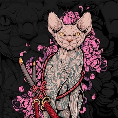 roronoa's profile picture