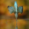 Фото профиля #blessed